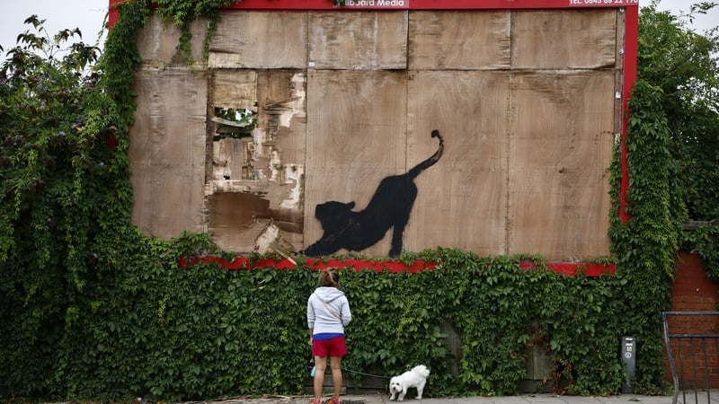 New Banksy artwork of a stretching cat in London