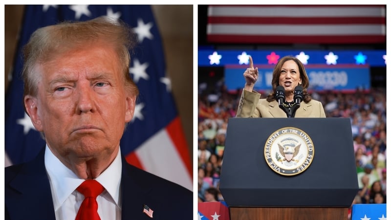 Show me the money: both Donald Trump and Kamala Harris are set to raise - and spend - billions of dollars in the coming weeks. Photos: Getty Images