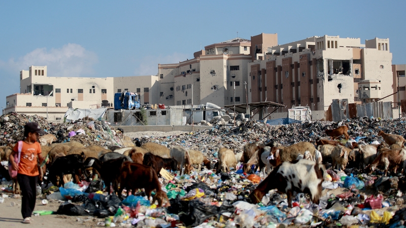 The UN said more than half of aid worker deaths in 2023 occurred in Gaza during the first three months of the war between Israel and Hamas (file image)
