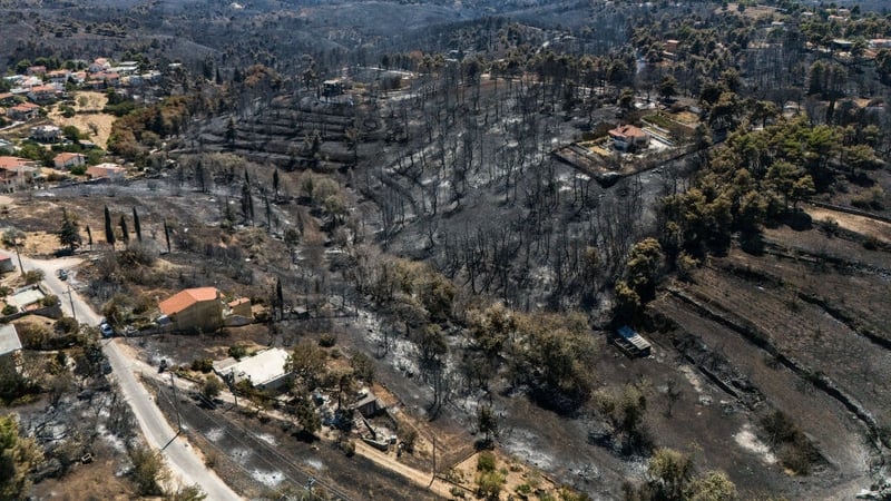 A view of an area destroyed by the fire near the town of Varnavas