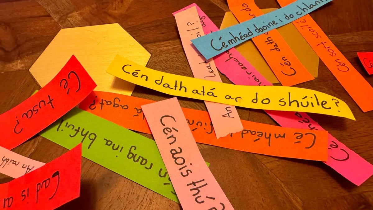 First all-Irish dictionary launched