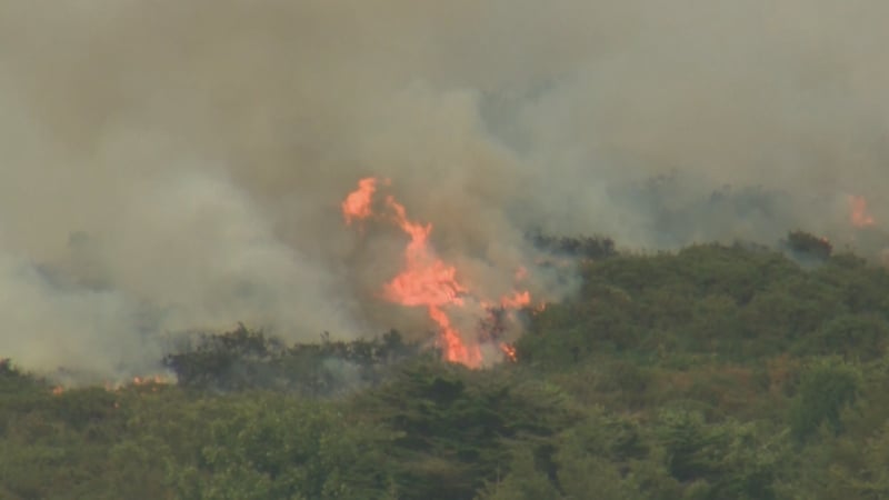 The gorse fire is located on Mullins Hill in Killiney