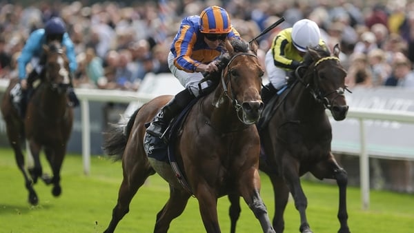 The Lion In Winter won a hot edition of the Acomb Stakes at York last August