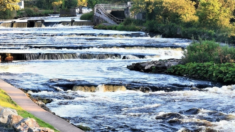 1,079 salmon were recorded dead in the Ballysodare River in July (File image)
