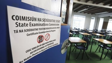 Study Hub 2025: Leaving Cert Irish (H) Paper 2 Exam Tips