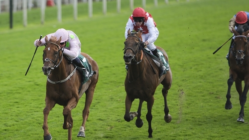 Vauban won the Lonsdale Cup at York last month