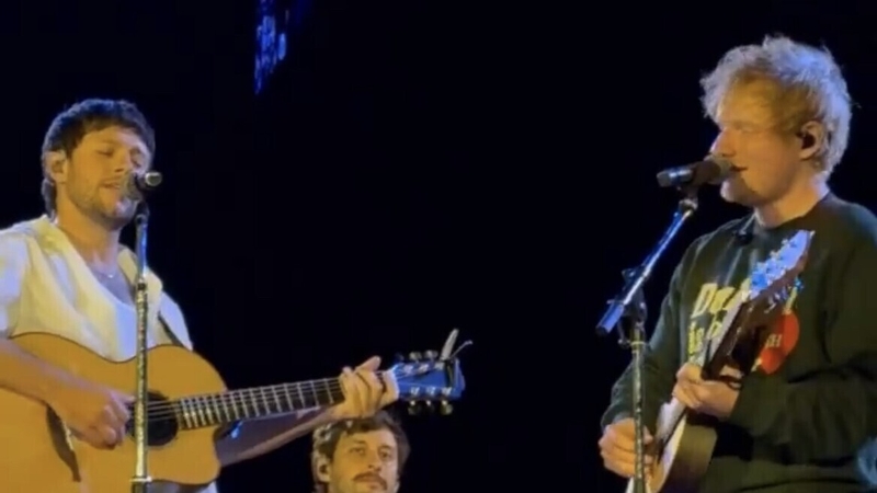 Niall Horan brought out his "good friend" Ed Sheeran during his sold-out gig in Dublin on Friday [pic @niallontours]