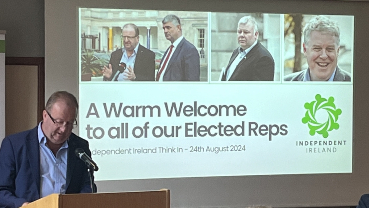 One of every three Independent Ireland candidates were elected in local elections