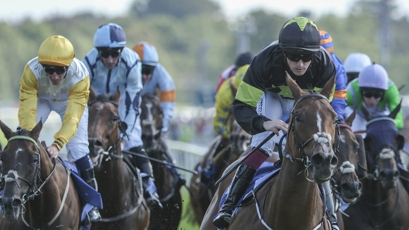 Billy Lee and Magical Zoe (black/green) justified favouritism