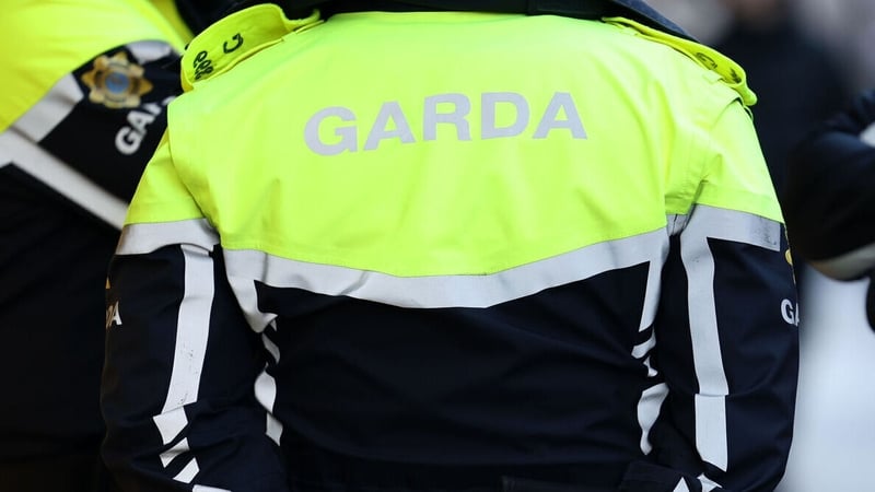 Gardaí said they arrested two men as part of the ongoing investigation