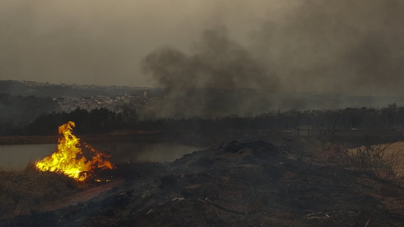 Federal police are investigating the fires for suspected arson