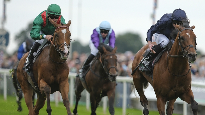 Juddmonte International runner-up Calandagan was quicker than all of his rivals in the final three furlongs of the race