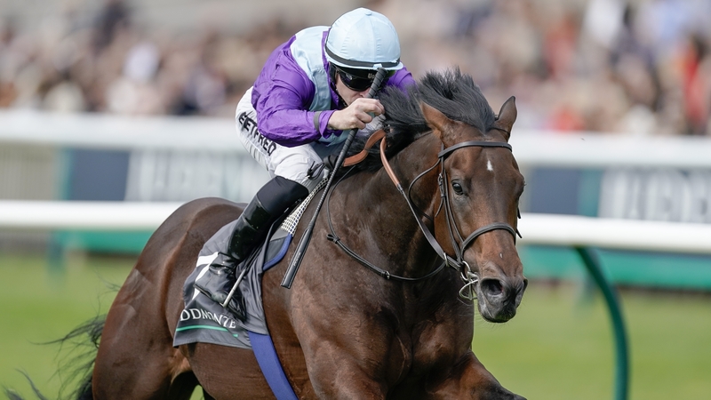 Unbeaten as a juvenile, Ghostwriter has yet to record a victory as a three-year-old