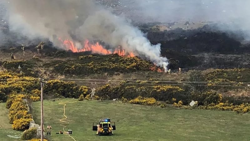 Fire crews dealing with a wildfire outside Newcastle, Co Down in 2022. Photo: Northern Ireland Fire and Rescue Service