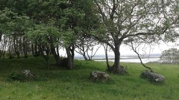 The Mermaid Stones in Co Sligo. Photo: M.J. Leonard via Snippets of local history from Ballina, North Mayo, & further afield/Facebook