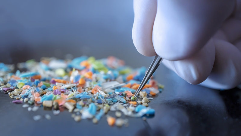 Microplastics are tiny particles of plastic debris from plastic containers and products