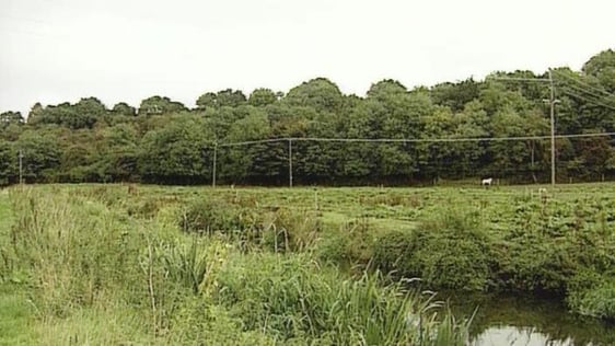 Rezoning Land in Leixlip, County Kildare, 1994