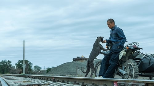 Eddie Peng as Lang makes a new friend in Black Dog