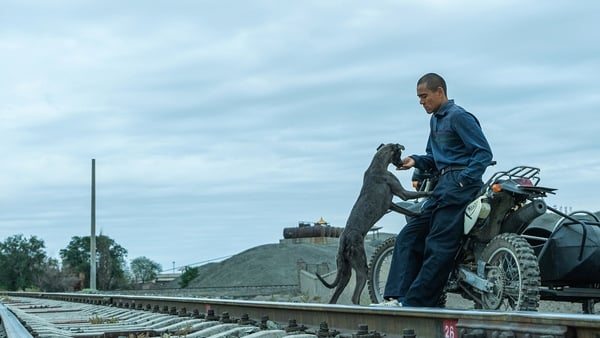 Eddie Peng as Lang makes a new friend in Black Dog
