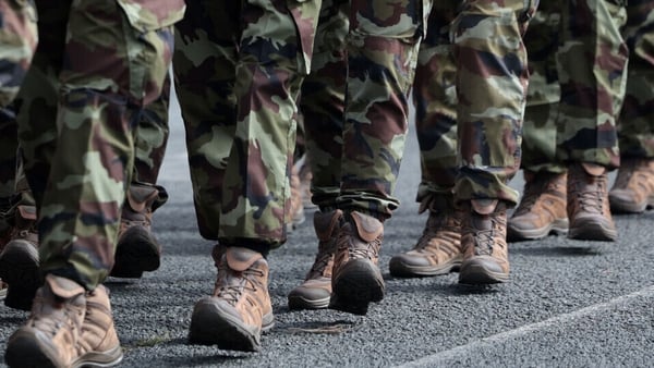 The Institute for Security Governance was identified as the 'most suitable and appropriate' by the Defence Forces to carry out a force design (file image)