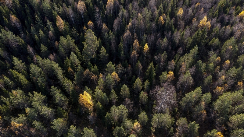 The average temperature from June to August was 16.2C for Finland as a whole, matching the record hot year of 1937