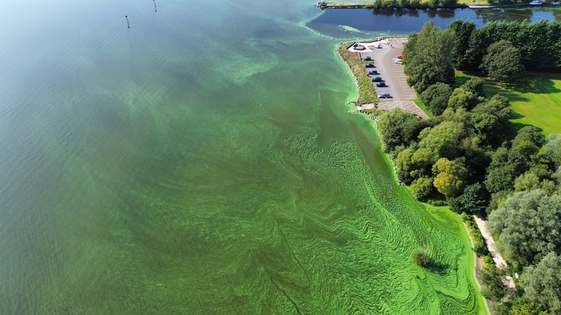 An aerial view of algae bloom on Lough Neagh (Credit: Wojtek Rembiasz)