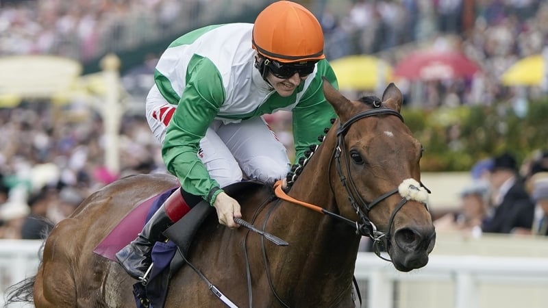 Crystal Black enjoyed a memorable campaign last season