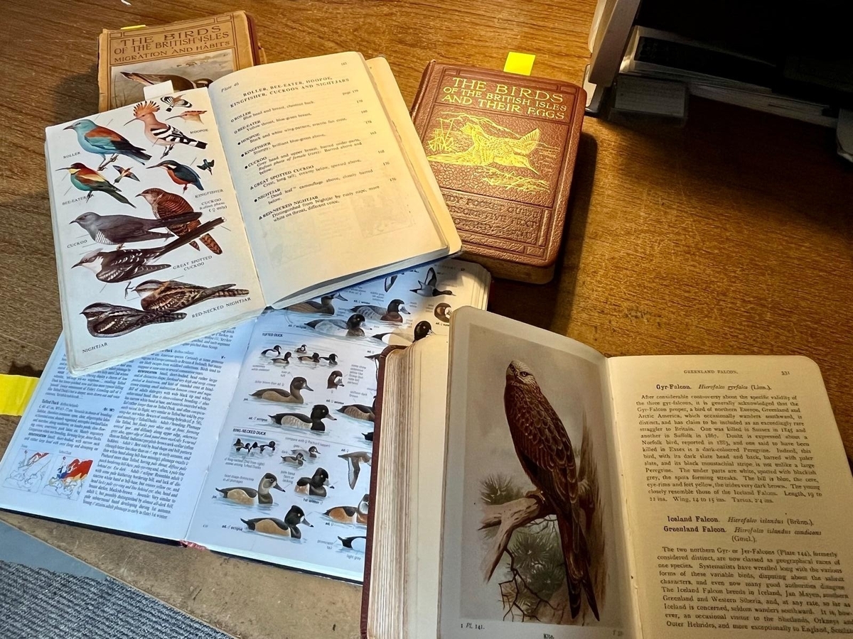The Naturalist's Bookshelf "Windfall" | Culture File