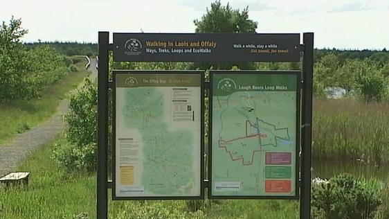 Abbeyleix Bog, Co. Laois (2009)