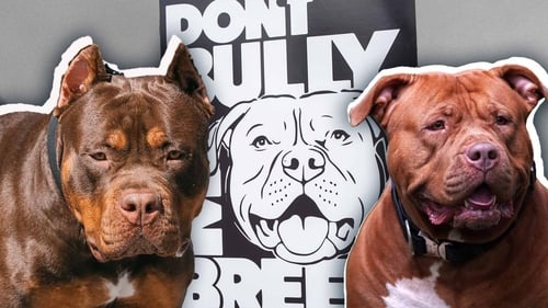 An XL Bully ban is set to come into force on 1 October