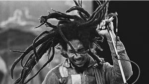 Bob Marley In The Park show image