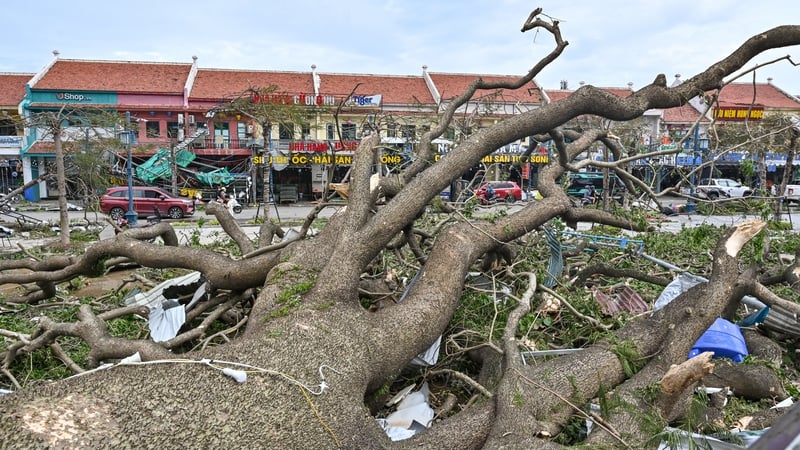 Fallen trees and debris after Super Typhoon Yagi hit Ha Long, in Quang Ninh province