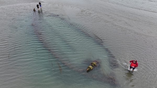A team from the NMS has started conducting work to identify the origins of shipwrecks on Portmarnock Strand (Photo: National Monuments Service)