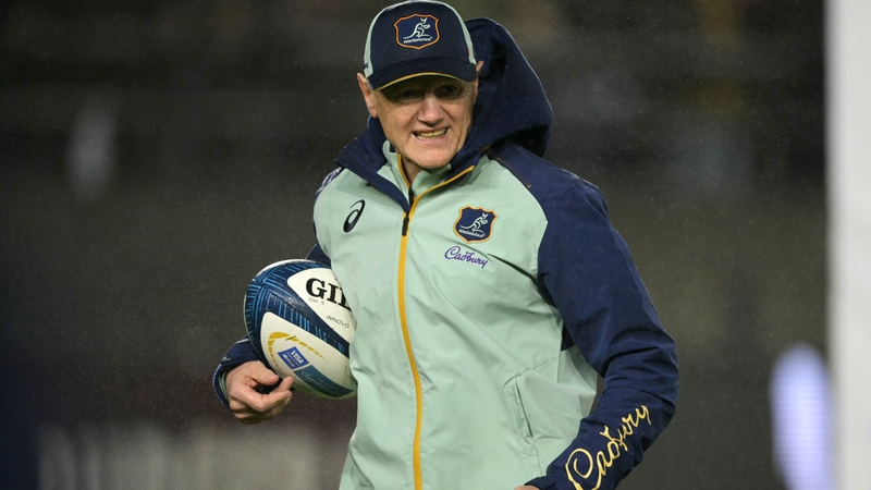 Former Ireland head coach Joe Schmidt took over Australia in January