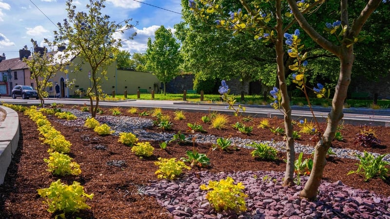Carlow's rain gardens are a free draining soil mix that cleans, stores and conveys runoff water