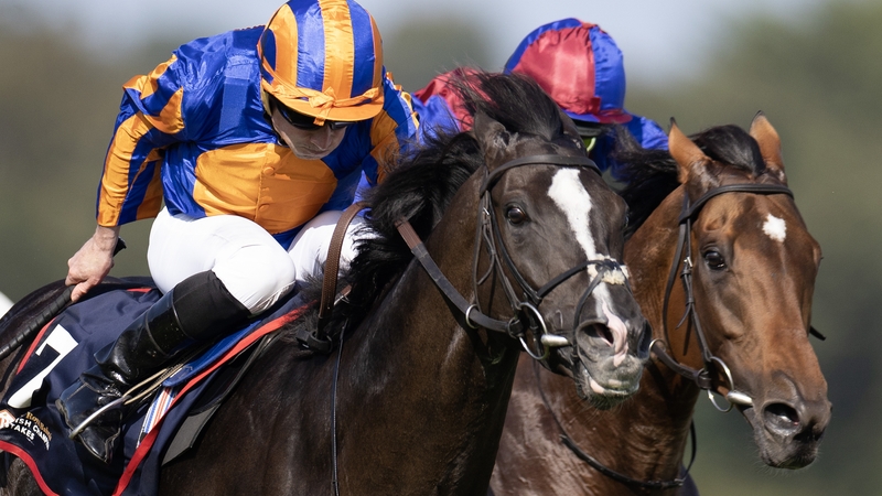 Auguste Rodin won last year's Irish Champion Stakes at Leopardstown