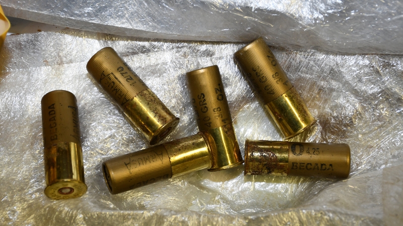 They were discovered by gardaí at a checkpoint in Mallow at around 1.10am