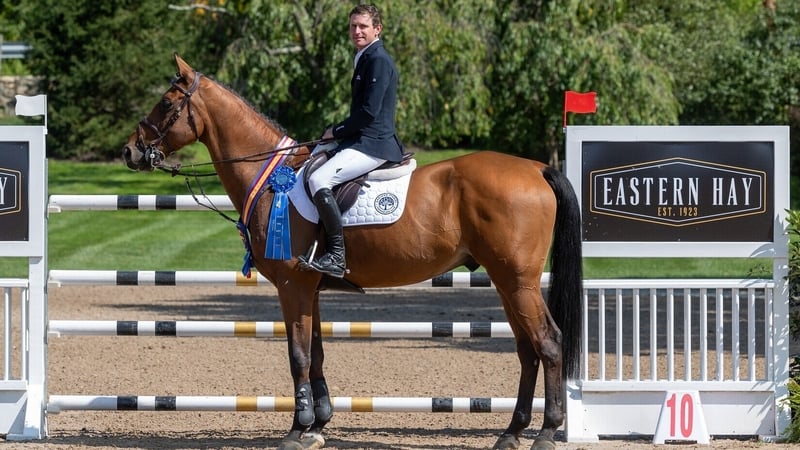 Darragh Kenny and Serendepety