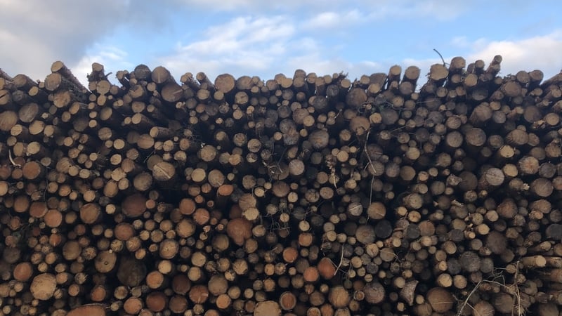 A new study has found a sustainable method of efficiently converting waste heat into electricity using Irish wood. Photo: RTÉ