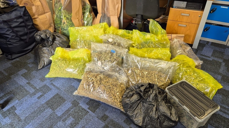 13 vacuum bags of dried cannabis herb were found