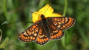 Mooney Goes Wild Monday 1 September 2025 show image