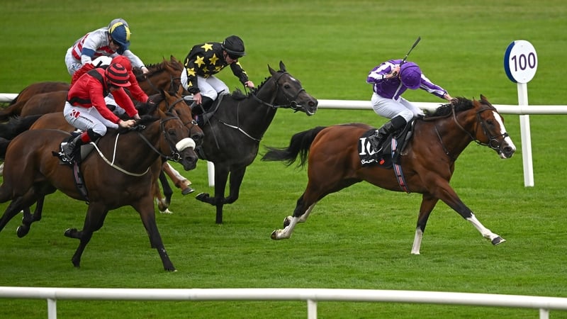 Diego Velazquez draws away from his rivals in the Solonaway Stakes