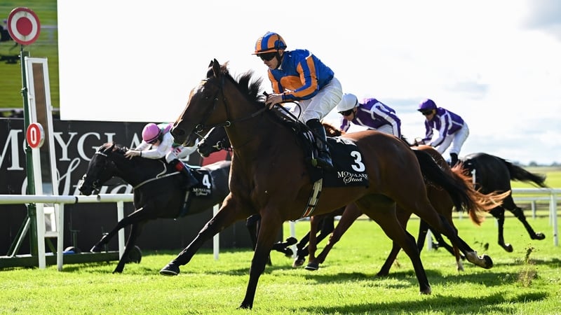 Lake Victoria will be looking for 1,000 Guineas success at the Curragh