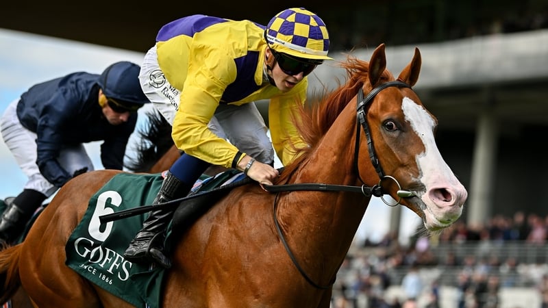 Scorthy Champ proved more professional that his rivals at the Curragh