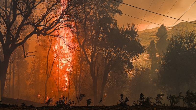The situation was most dangerous in the northwestern Aveiro district where one forest blaze reached the outskirts of the town of Albergaria-a-Velha and burned several houses