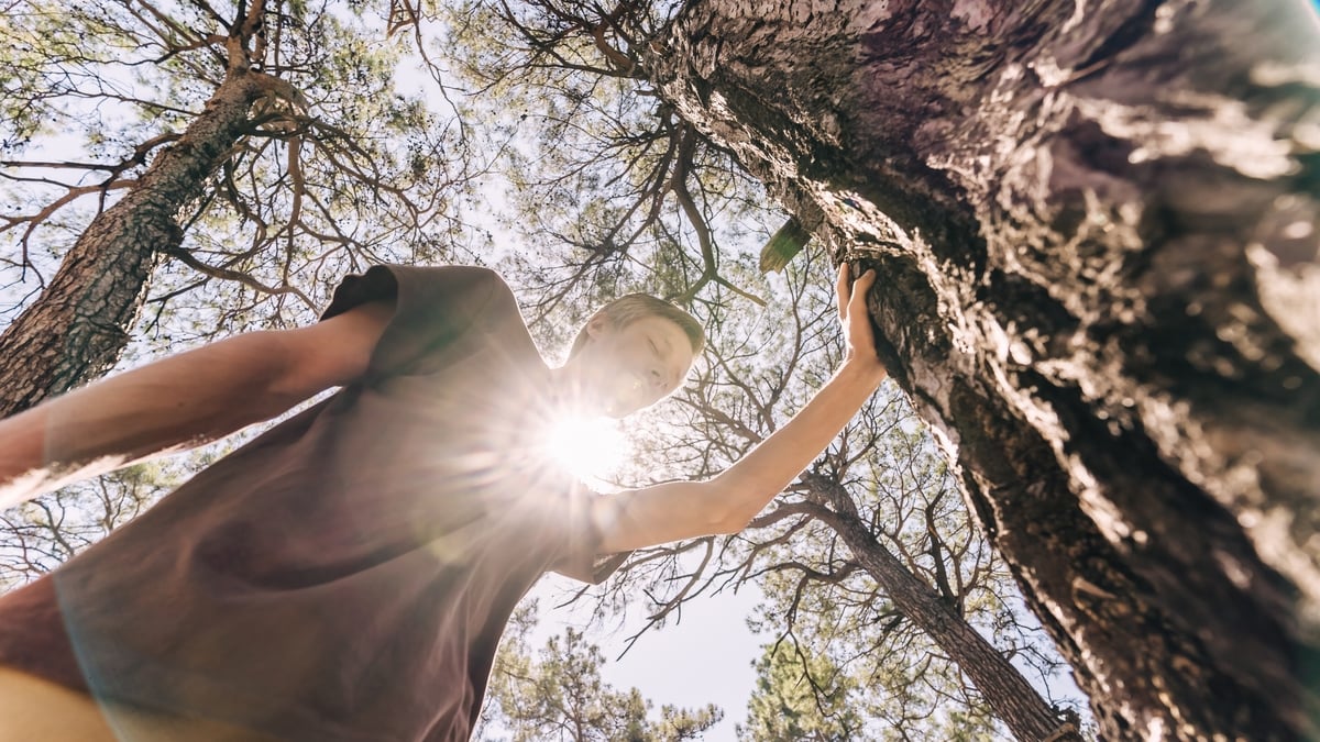 New research shows touching wood is not just for good luck, it can also have a calming effect.