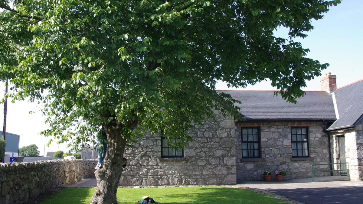 Pádraig Ó Dubhghaill, Bainisteoir tograí Comharchumann Sailearna.