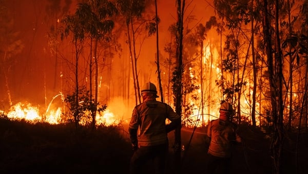 Fire fighters tackle a wildfire in Agueda, in the Aveiro region of Portugal