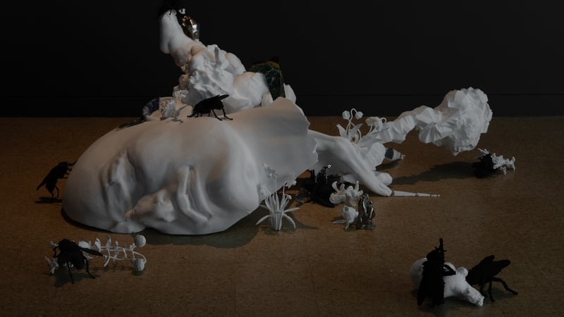 Bassam Al-Sabah: I AM ERROR, 2022, Installation View (Pic: Rob Harris)