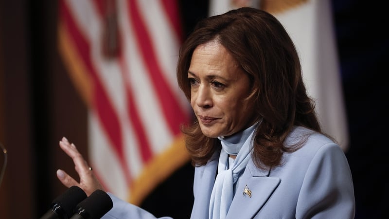 Kamala Harris said the remarks were 'deeply troubling' (File image)